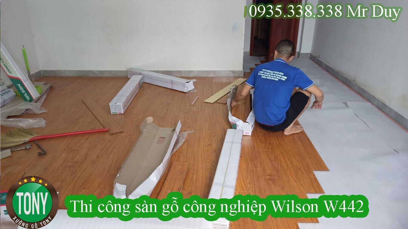 Sàn gỗ Wilson W442