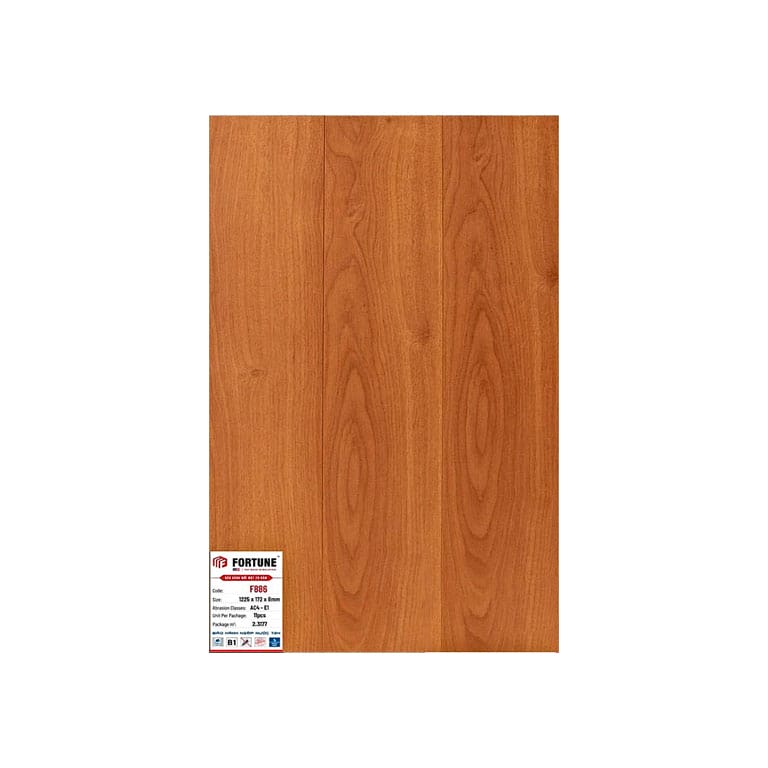 Sàn Gỗ Fortune F880 - Sàn Gỗ công nghiệp Malaysia Sàn Gỗ Fortune F880 - Sàn Gỗ công nghiệp Malaysia - Ảnh 4